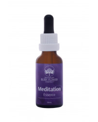 ABFE - MEDITATION ESSENCE...