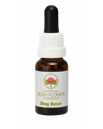 ABFE Practitioner Dog Rose